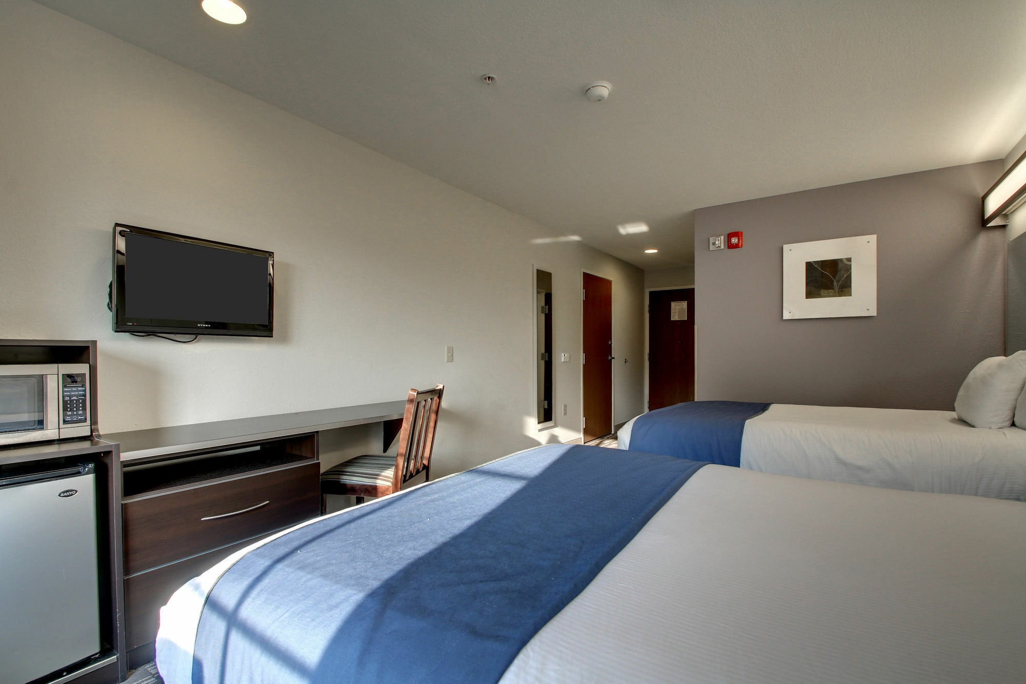 Microtel Inn & Suites By Wyndham Tuscaloosa Eksteriør bilde